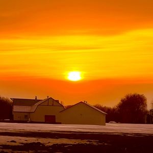 Meet your Posher, Dalila